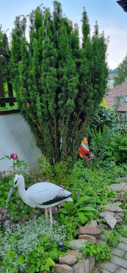 Pokoje Goscinne Duszniki Zdroj Bagian luar foto